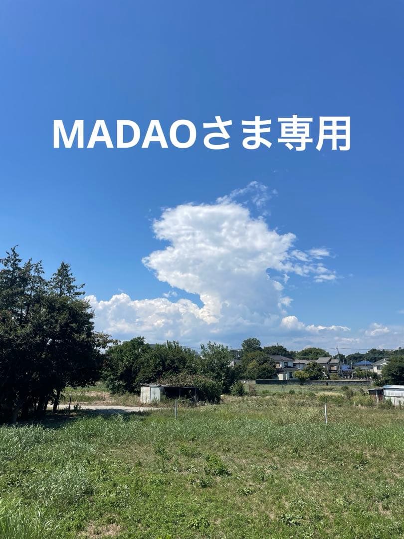 【精華銘】都山流尺八 -1尺6寸管-