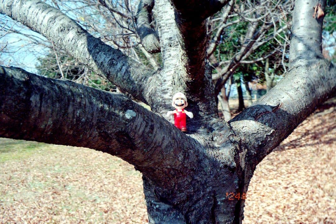 オートボーイ S(スーパー) / 動作確認・作例有り