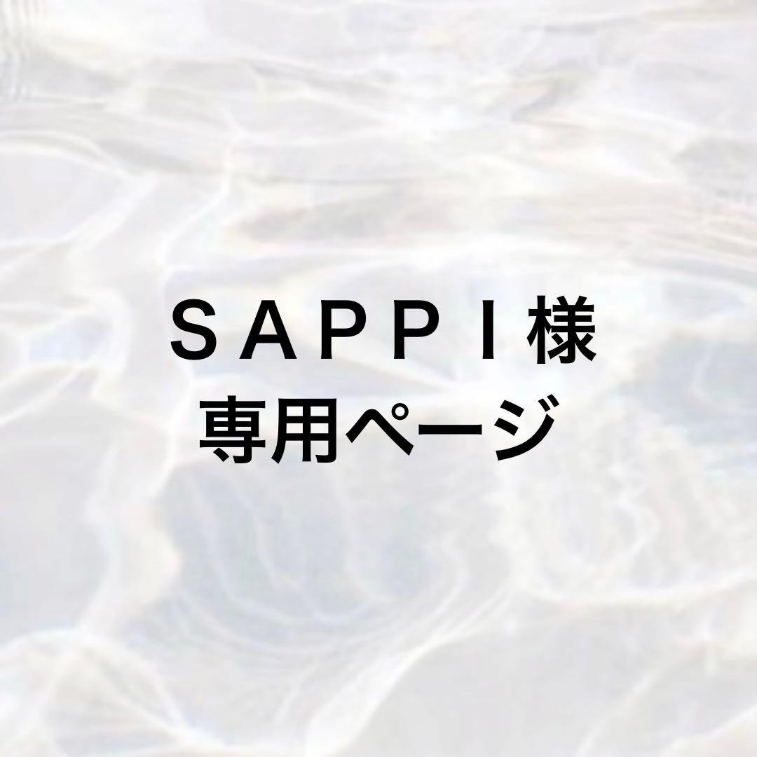 ＳＡＰＰＩページ