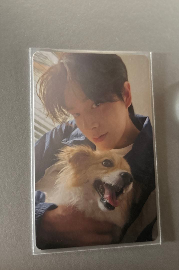 ENHYPENアンケートトレカ　全メンバー