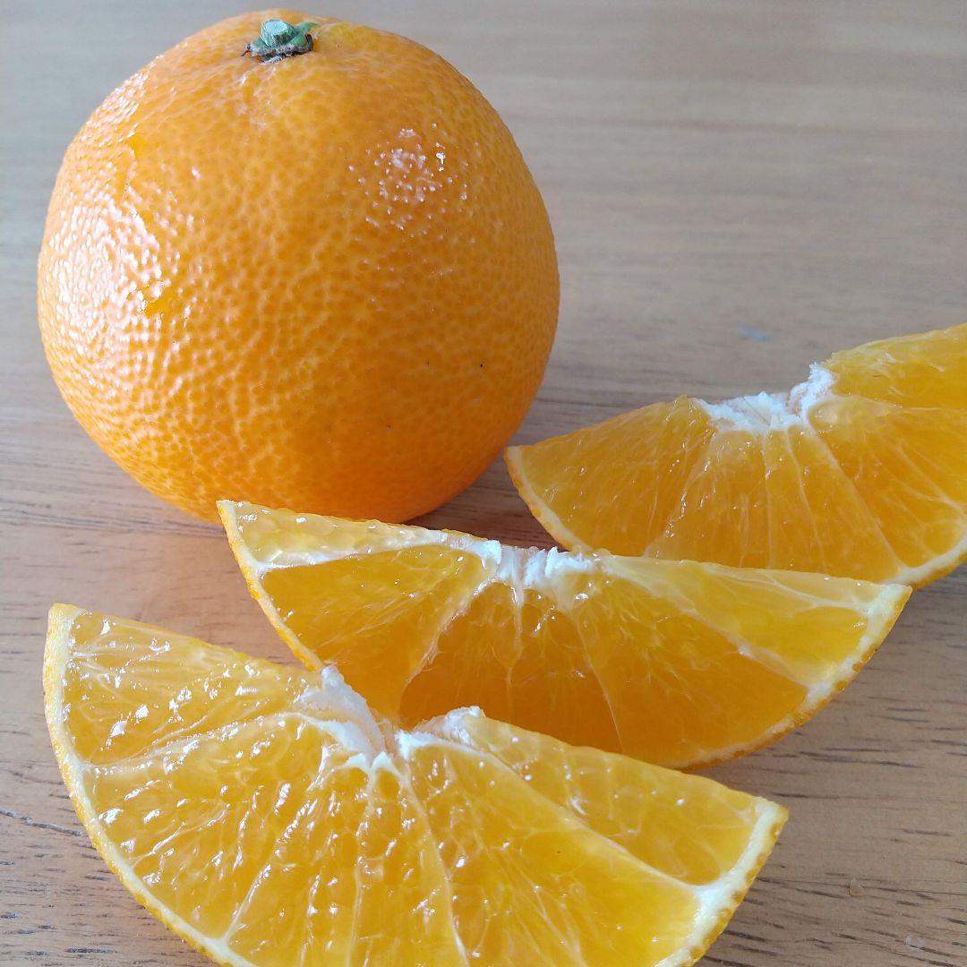 700愛果 まどんな 家庭用 10kg